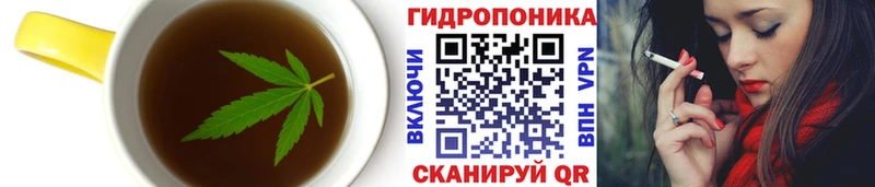 omg вход  Пучеж  Canna-Cookies конопля 