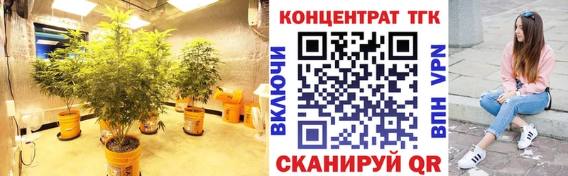где найти наркотики  Пучеж  Дистиллят ТГК гашишное масло 